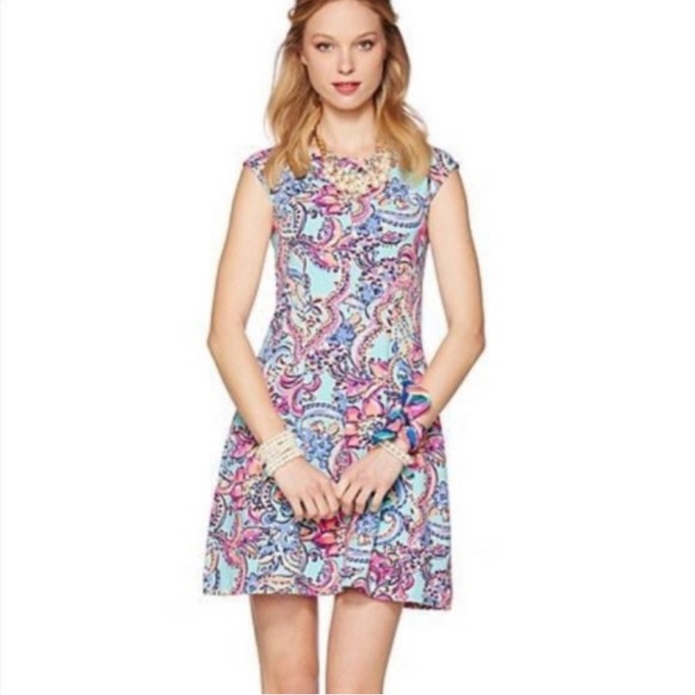 Lilly Pulitzer Briella Dress VGUC Bait and Switch Size Large